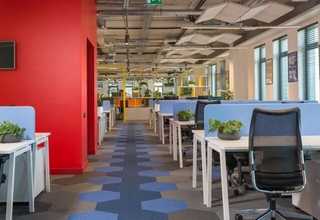 陕西猪细小抗体检测卡