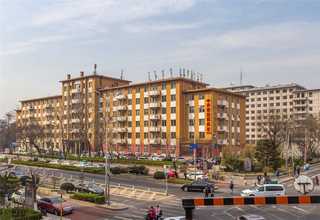 湖北等离子净化器设备